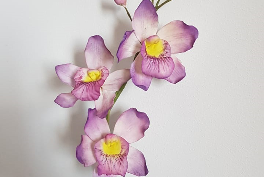 Сахарная Орхидея Дендробиум