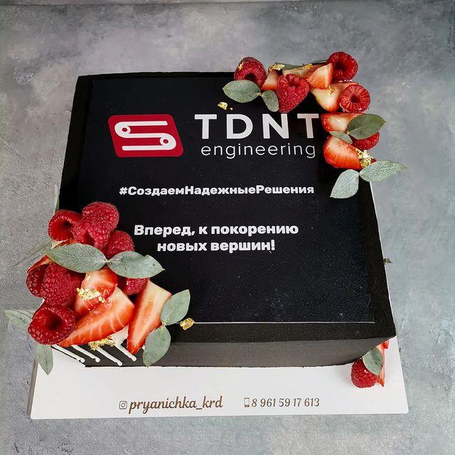 Корпоративный торт для компании TDNT