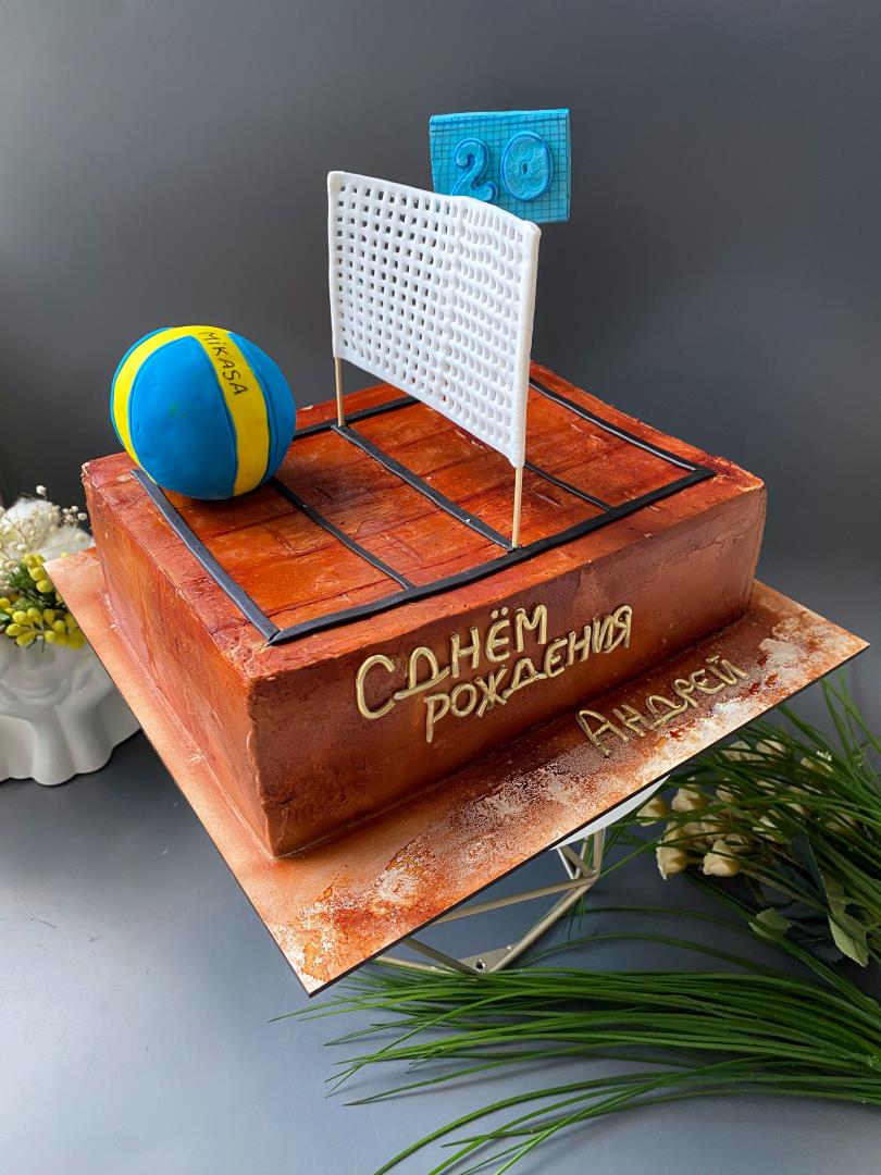 Торт «Волейбол» на день рождения